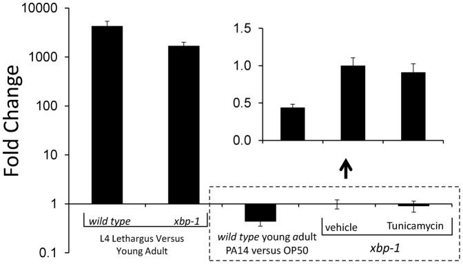 Fig. 4.