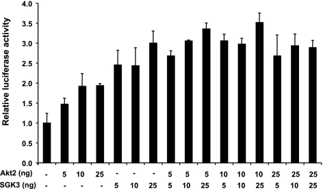 Figure 9.