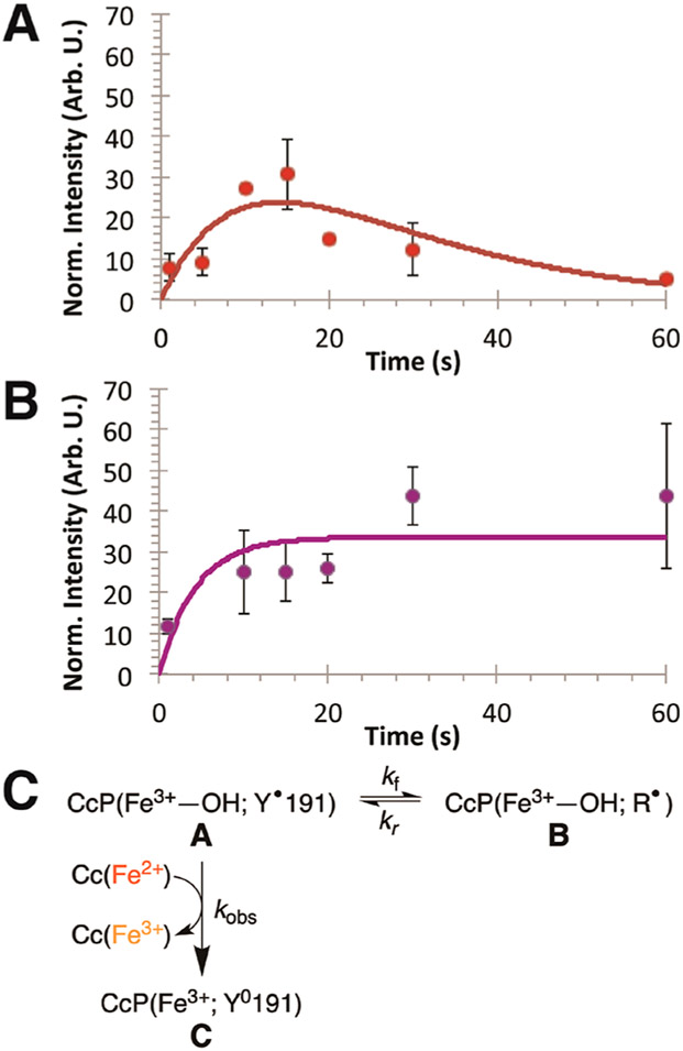 Figure 7.