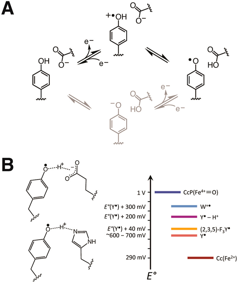 Figure 9.