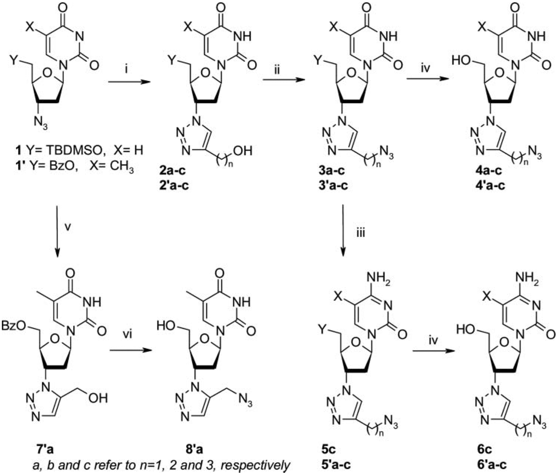 SCHEME 1