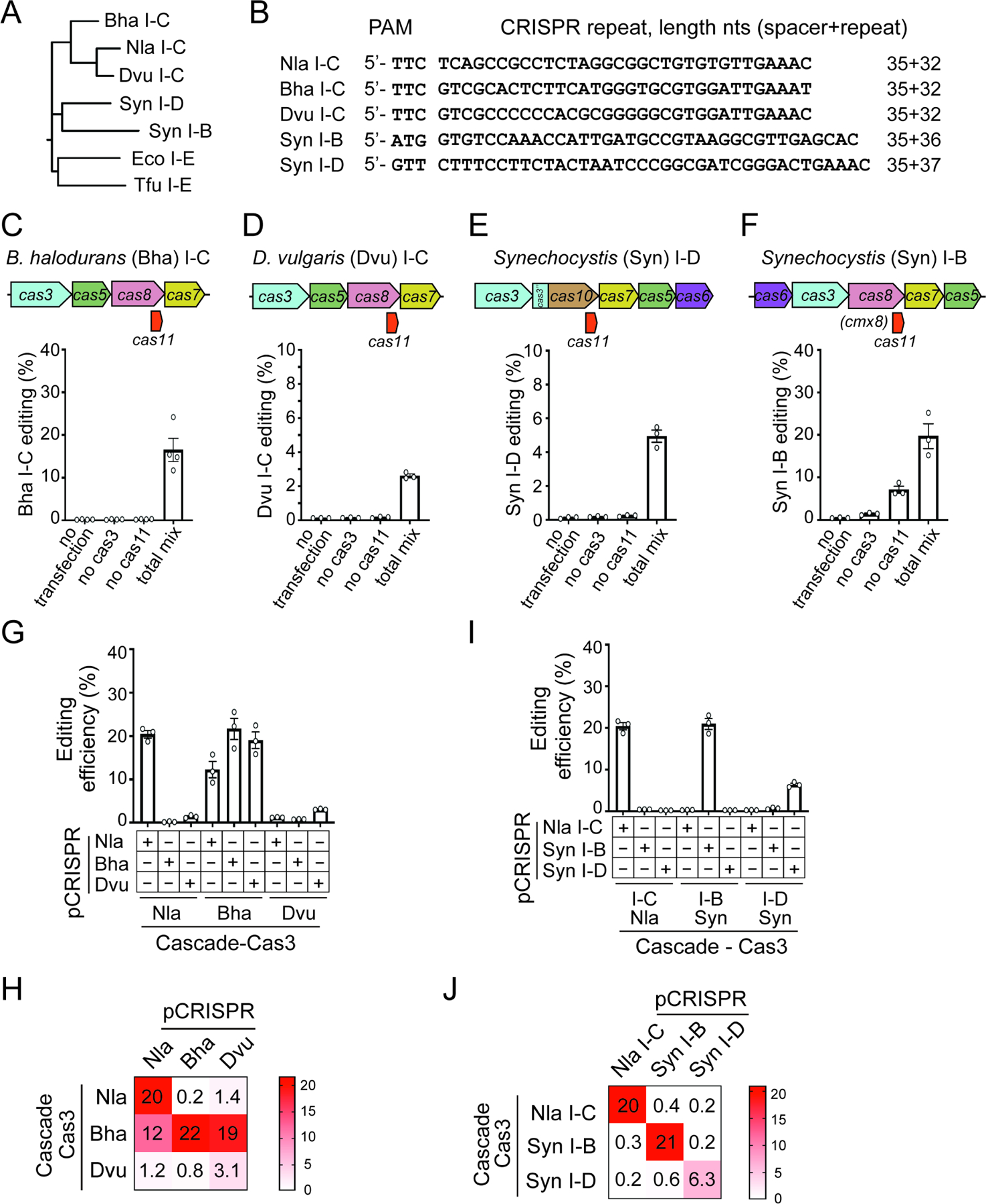 Figure 6.