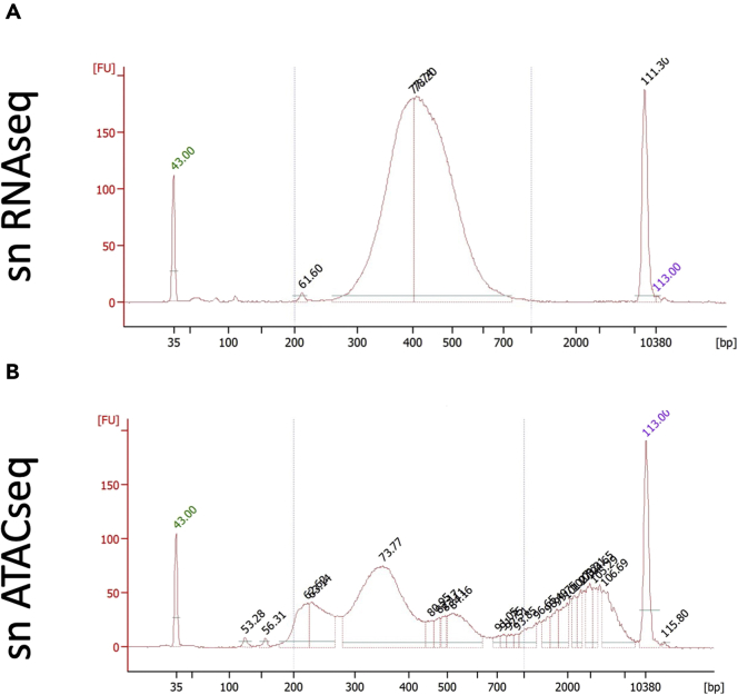 Figure 6