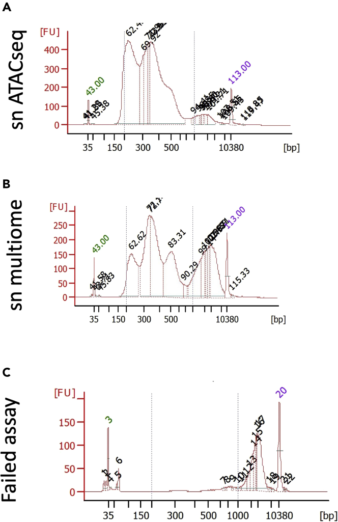 Figure 5