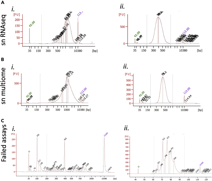 Figure 4