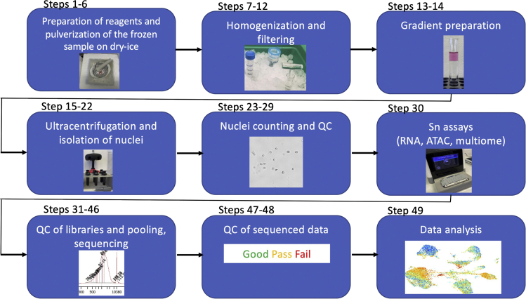 Figure 1