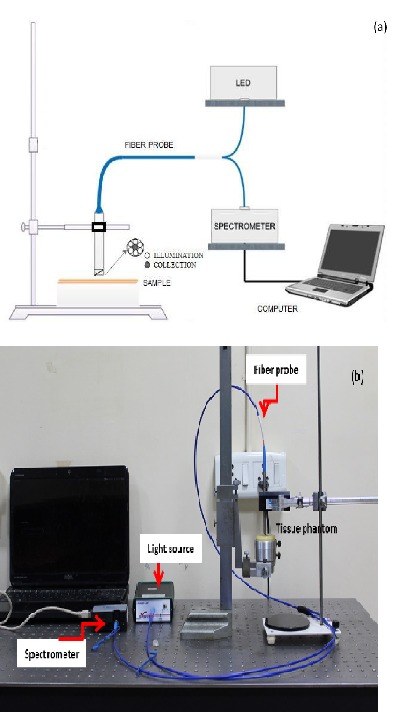 Fig. 3