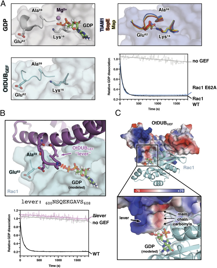 Fig. 6.