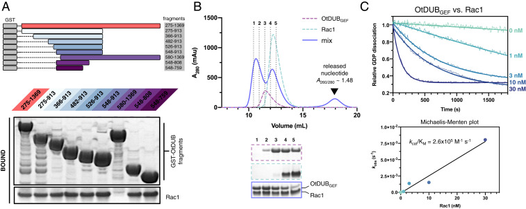 Fig. 3.