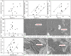 Fig 10