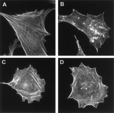 FIG. 10