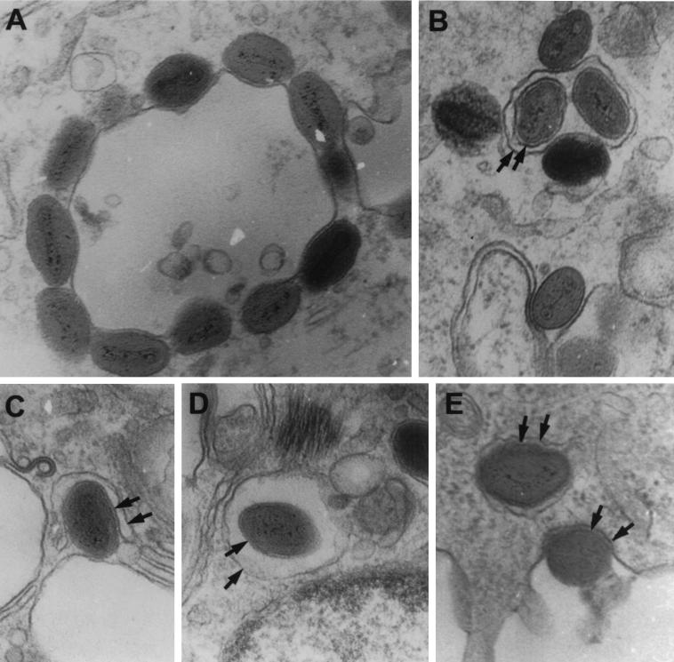 FIG. 8