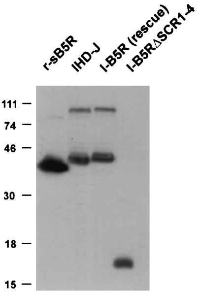 FIG. 7