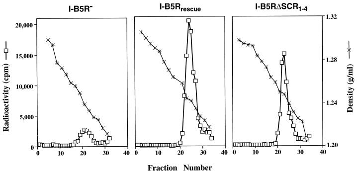 FIG. 6