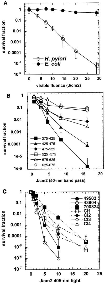 FIG. 1.