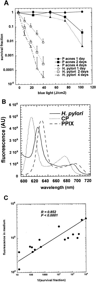 FIG. 2.