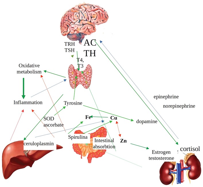 Figure 3.
