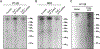 Figure 6: