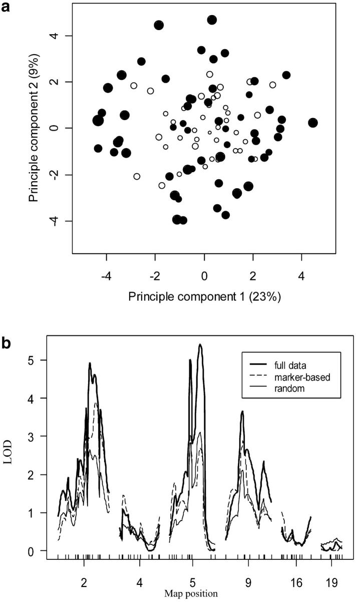 Figure 5.—