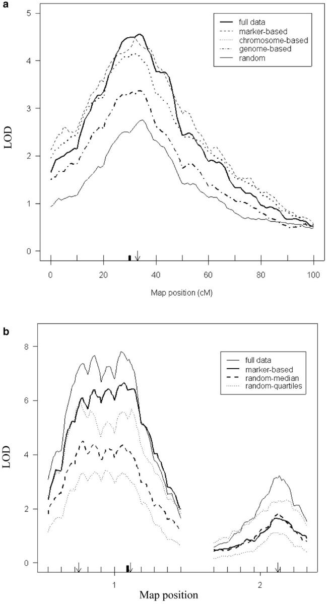 Figure 4.—