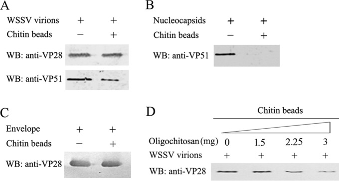 FIG 1