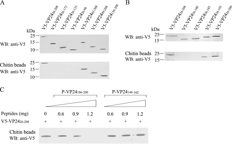 FIG 3