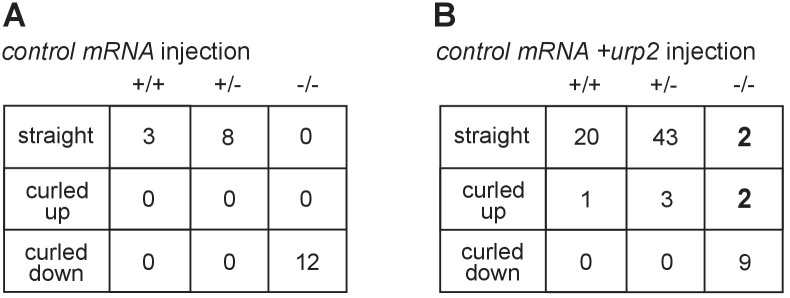 Figure 3—figure supplement 1.