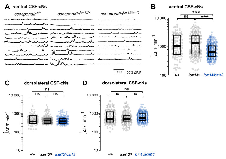 Figure 2—figure supplement 1.