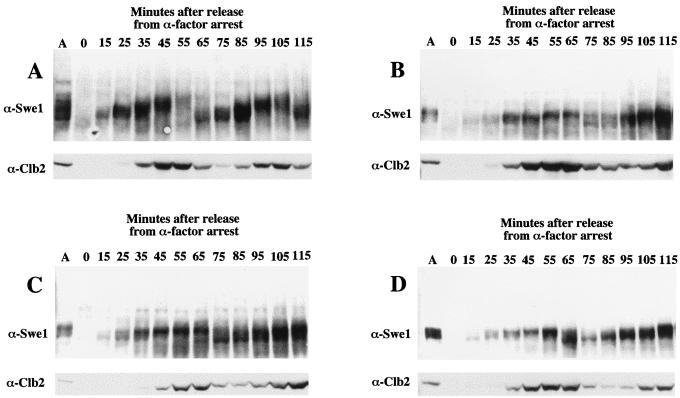 FIG. 7