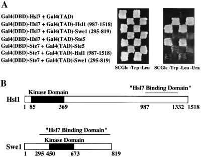 FIG. 3