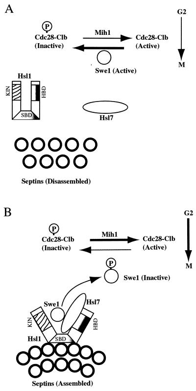 FIG. 8