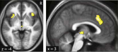 Figure 5