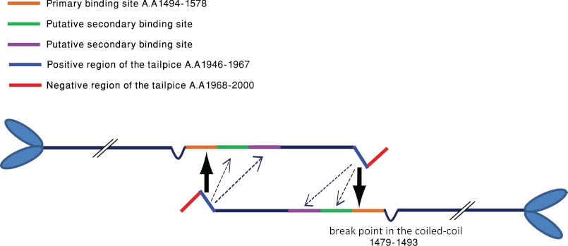 FIGURE 9.