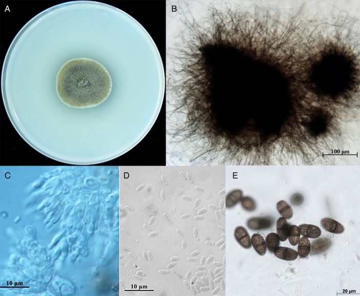 Figure 3.