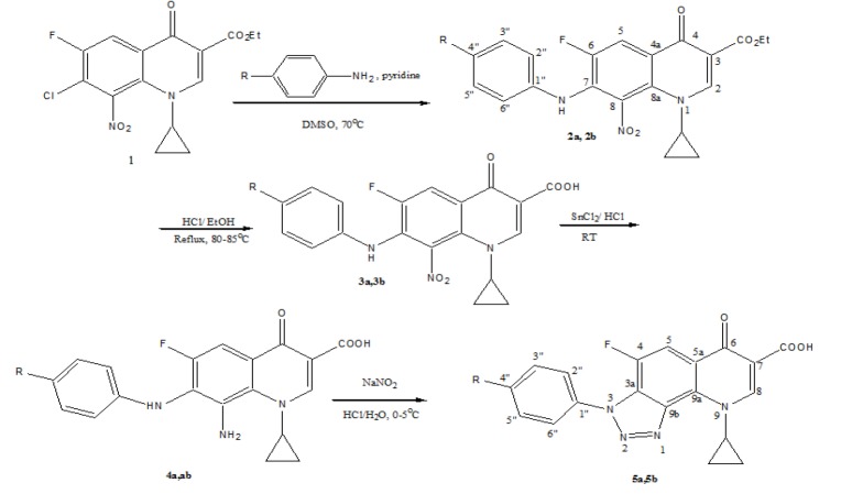 Scheme 1