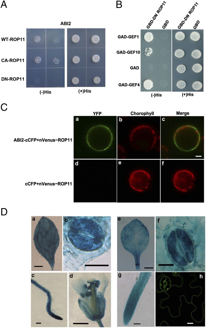 Fig. 2.