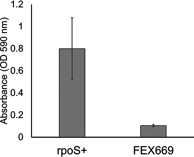 FIG 1