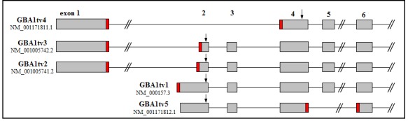 Figure 1.