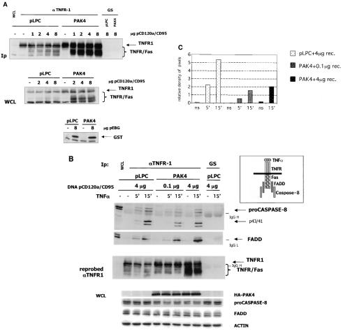 FIG. 6.