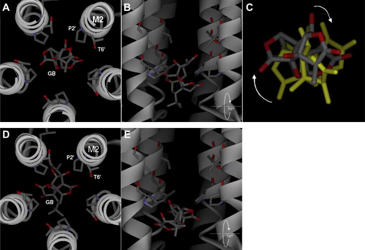 Fig. 11