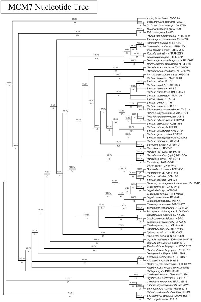 Fig. S1.