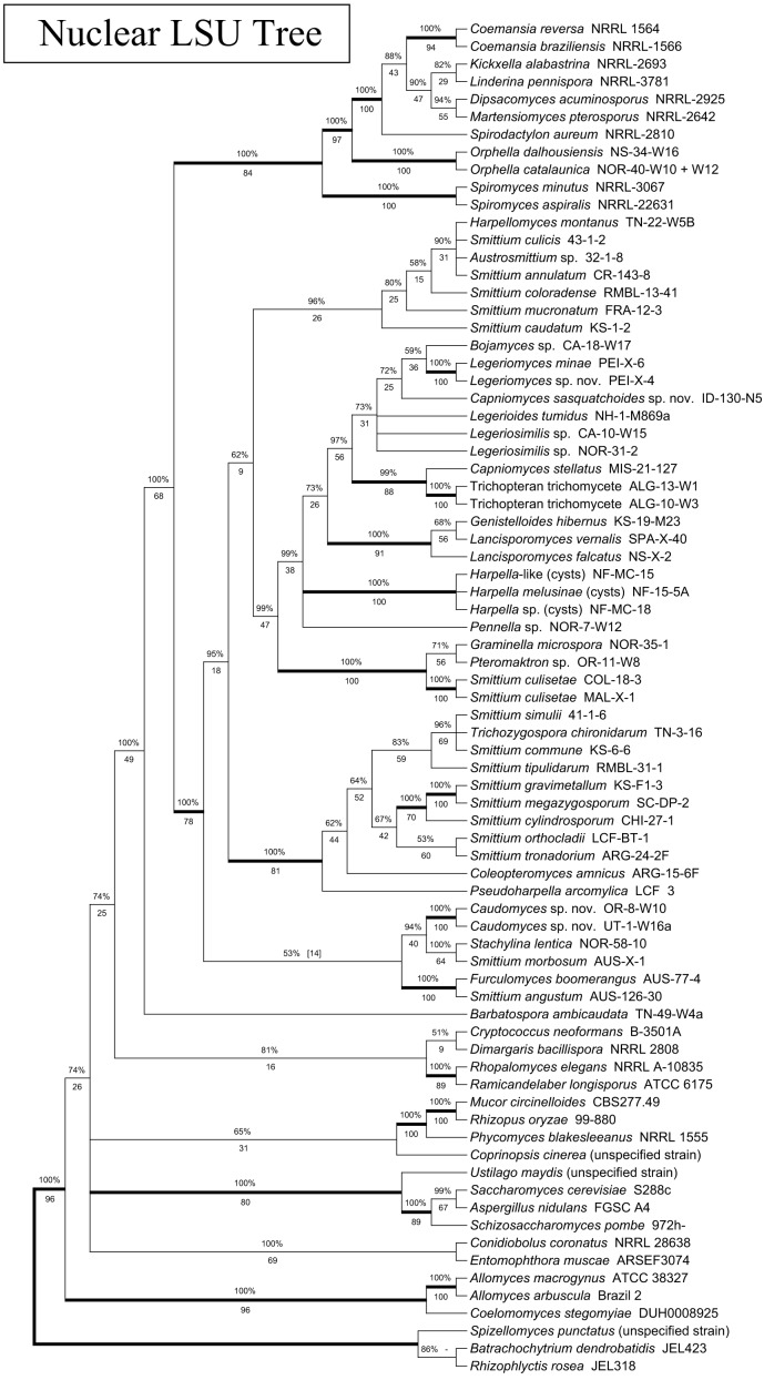 Fig. S3.