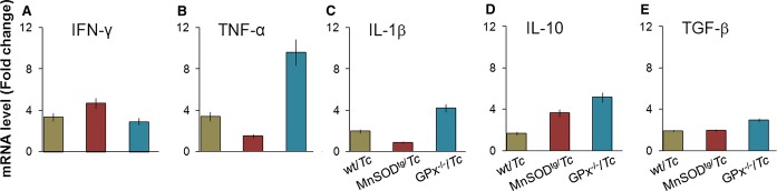 Figure 4.