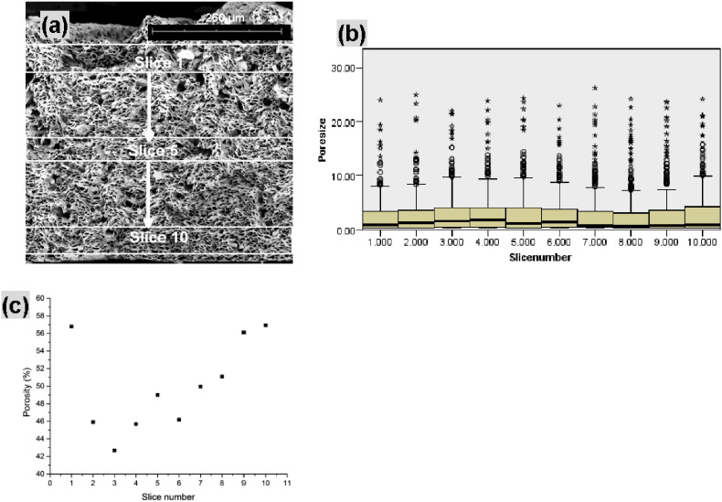 Fig. 11