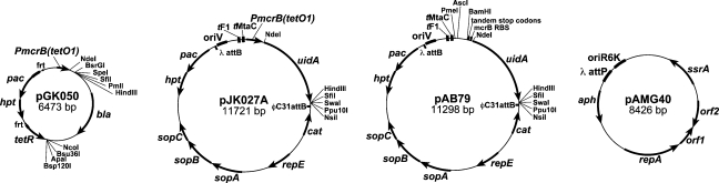 Figure 2.