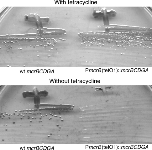 Figure 6.