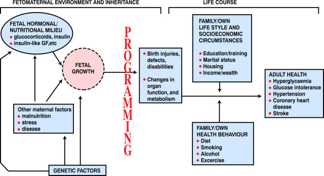 Figure 1:  