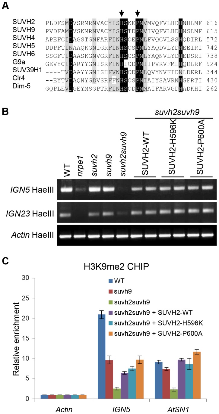 Figure 7