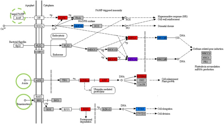 Figure 7