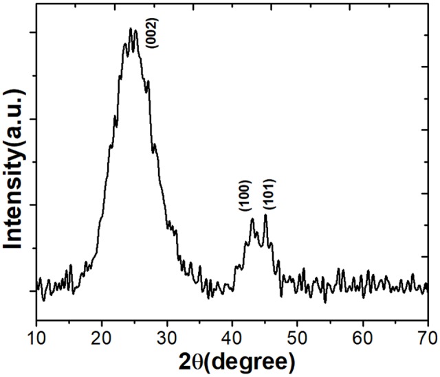 FIGURE 1